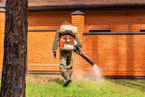 Trusted Termite Control service in Latham, NY - Nex Pest Control